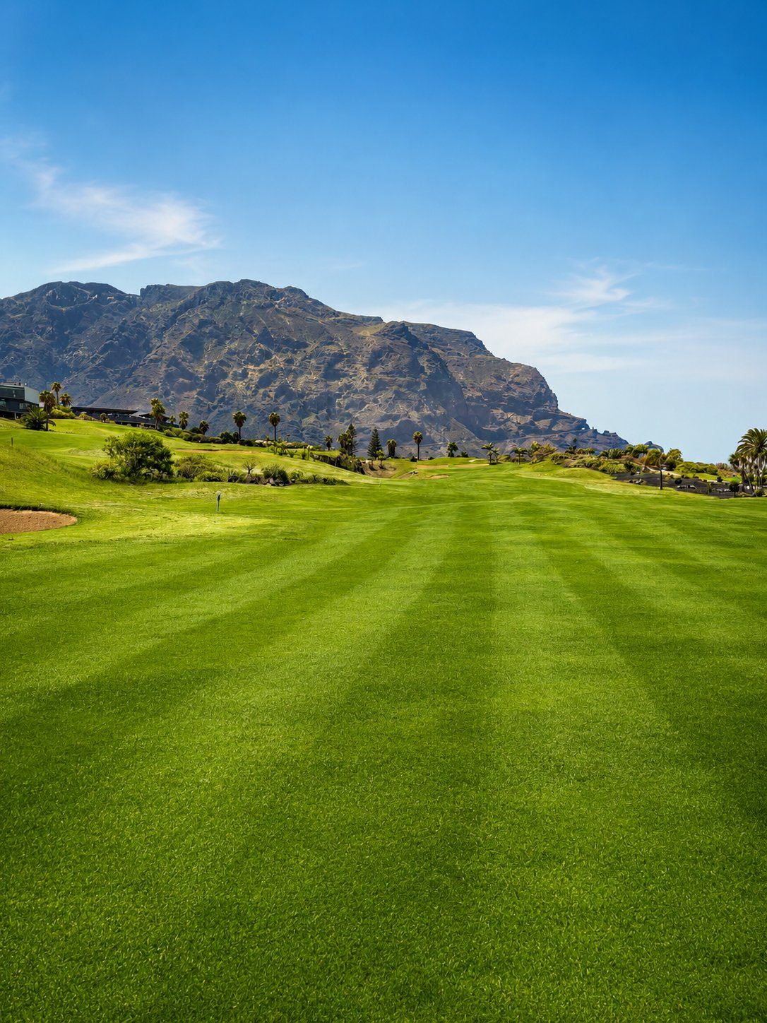 Buenavista del Norte Golf