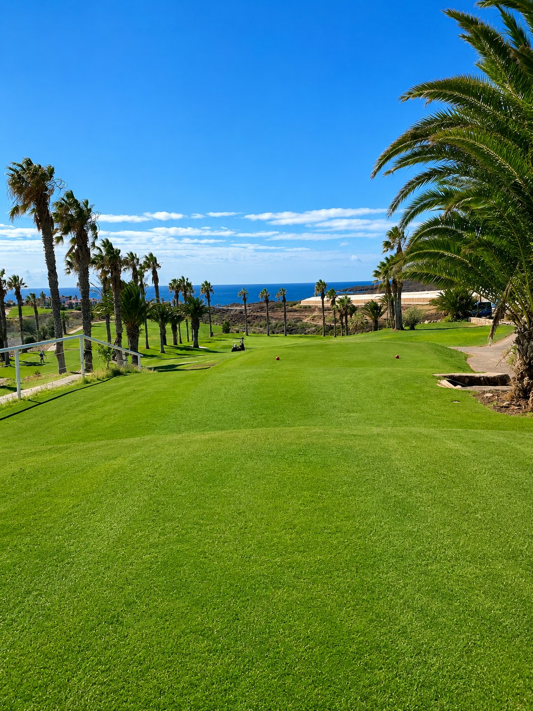 Championship fairway with palms and ocean, Tenerife