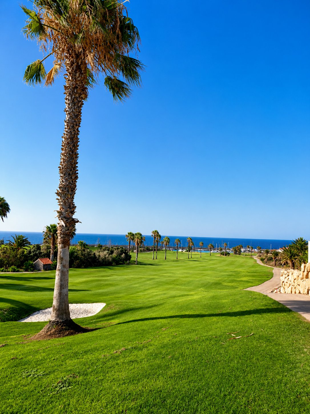 Tenerife coastal golf course